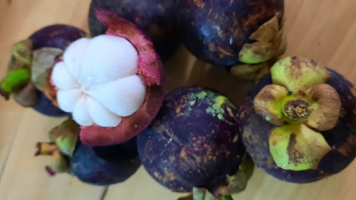 Mangostin