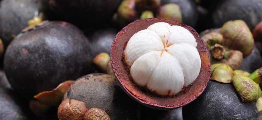 Mangostin